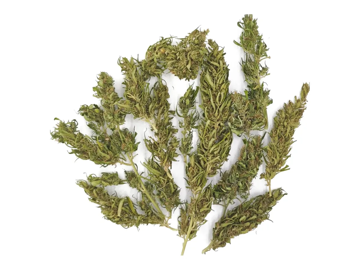 La Franche, fleur de chanvre de Touraine en têtes entières
